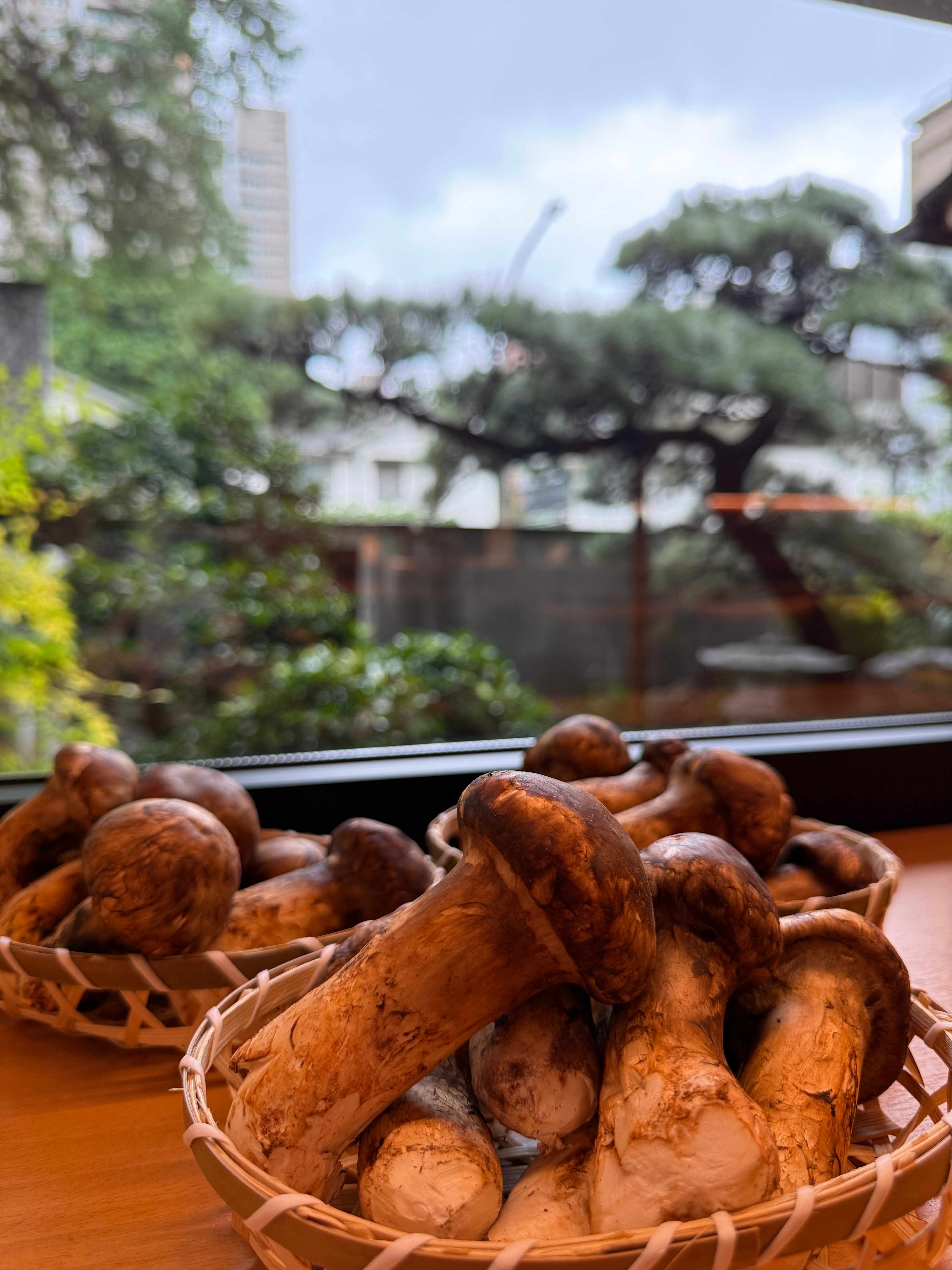 Seasonal matsutake mushrooms